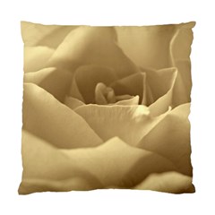 Rose  Cushion Case (single Sided)  by Siebenhuehner