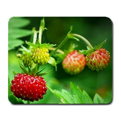 Strawberry  Large Mouse Pad (rectangle) by Siebenhuehner