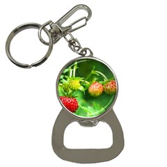 Strawberry  Bottle Opener Key Chain by Siebenhuehner