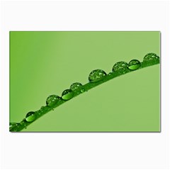 Waterdrops Postcard 4 x 6  (10 Pack) by Siebenhuehner