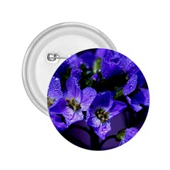 Cuckoo Flower 2 25  Button by Siebenhuehner