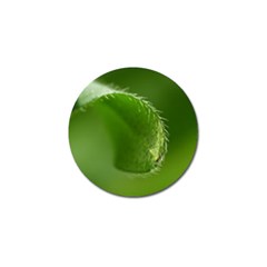 Leaf Golf Ball Marker 4 Pack by Siebenhuehner