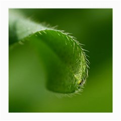 Leaf Glasses Cloth (medium, Two Sided) by Siebenhuehner