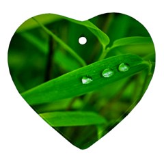 Bamboo Leaf With Drops Heart Ornament (two Sides) by Siebenhuehner