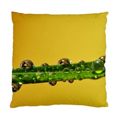 Drops Cushion Case (single Sided)  by Siebenhuehner