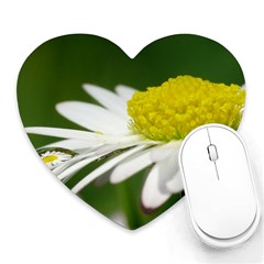 Daisy With Drops Mouse Pad (heart)