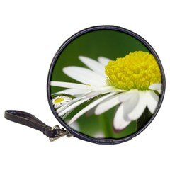 Daisy With Drops Cd Wallet by Siebenhuehner