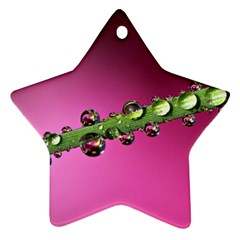 Drops Star Ornament by Siebenhuehner