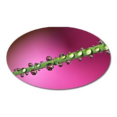 Drops Magnet (oval) by Siebenhuehner