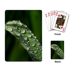 Grass Drops Playing Cards Single Design by Siebenhuehner