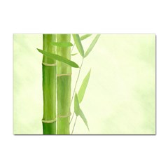 Bamboo A4 Sticker 100 Pack by Siebenhuehner