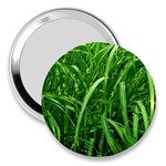 Grass 3  Handbag Mirror Front