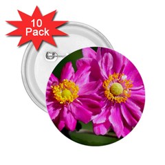 Flower 2 25  Button (10 Pack) by Siebenhuehner