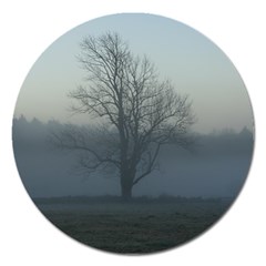 Foggy Tree Magnet 5  (round)