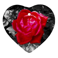 Red Rose Heart Ornament (two Sides) by jotodesign