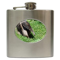 Giant Anteater Hip Flask