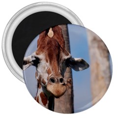 Cute Giraffe 3  Button Magnet