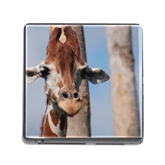 Cute Giraffe Memory Card Reader With Storage (square)