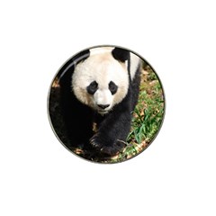 Giant Panda Golf Ball Marker 4 Pack (for Hat Clip)