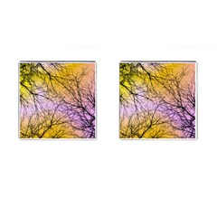 Branches Cufflinks (square)