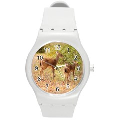 Deer In Nature Plastic Sport Watch (medium)