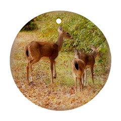 Deer In Nature Round Ornament