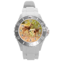 Deer In Nature Plastic Sport Watch (large)