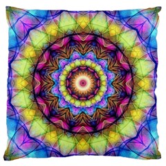 Rainbow Glass Large Cushion Case (two Sided)  by Zandiepants