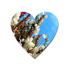 Australia Flowers Magnet (heart)