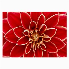 Red Dahila Glasses Cloth (large, Two Sided)