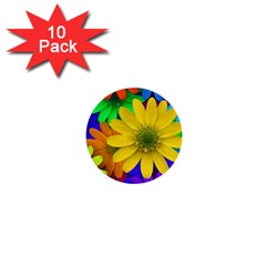 Gerbera Daisies 1  Mini Button (10 Pack)