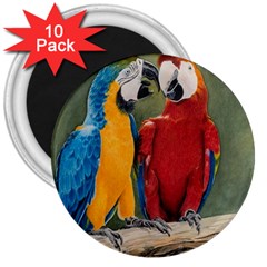 Feathered Friends 3  Button Magnet (10 Pack)