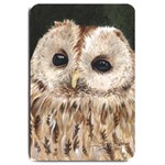 Tawny Owl Large Door Mat 30 x20  Door Mat