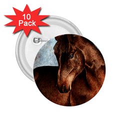 Midnight Jewel  2 25  Button (10 Pack)