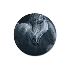 Equine Grace  Magnet 3  (round) by TonyaButcher