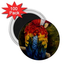 Preening 2 25  Button Magnet (100 Pack) by TonyaButcher