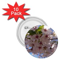 Sakura 1 75  Button (10 Pack) by DmitrysTravels