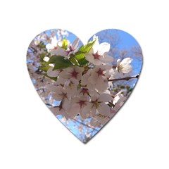 Sakura Magnet (heart) by DmitrysTravels