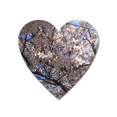 Sakura Tree Magnet (heart) by DmitrysTravels