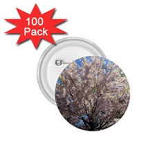 Cherry Blossoms Tree 1 75  Button (100 Pack) by DmitrysTravels