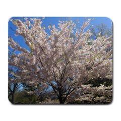 Cherry Blossoms Tree Large Mouse Pad (rectangle)