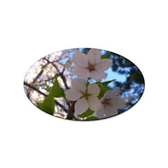 Sakura Sticker 10 Pack (oval)