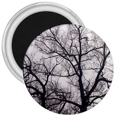 Tree 3  Button Magnet