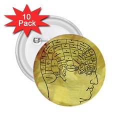 Brain Map 2 25  Button (10 Pack)