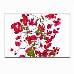 Red Petals Postcards 5  X 7  (10 Pack) by dflcprints