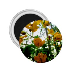 Yellow Flowers 2 25  Button Magnet