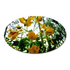 Yellow Flowers Magnet (oval)