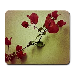 Santa Rita Flower In Warm Colors Wall Photo Large Mousepad by dflcprints