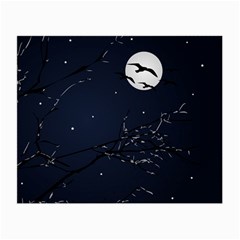 Night Birds And Full Moon Glasses Cloth (small)