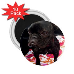 French Bulldog Sitting 2 25  Button Magnet (10 Pack)